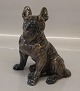 Kongelig Dansk 0956 Kgl. Fransk Bulldog Knud Kyhn Farve: 1708 - 17,5 x 15 cm
Brindle